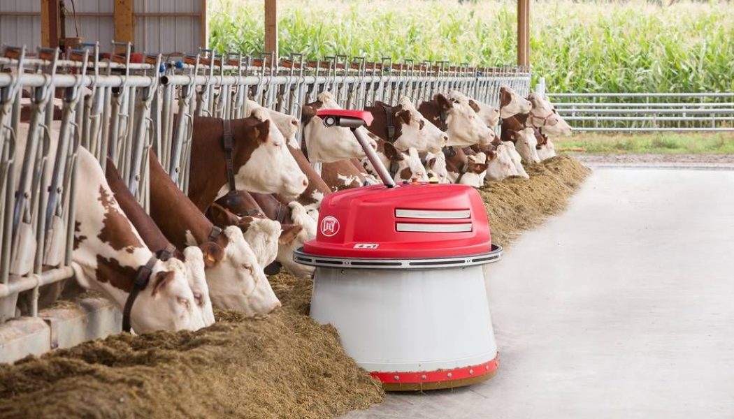 A robot sheepdog? ‘No one wants this,’ says one shepherd