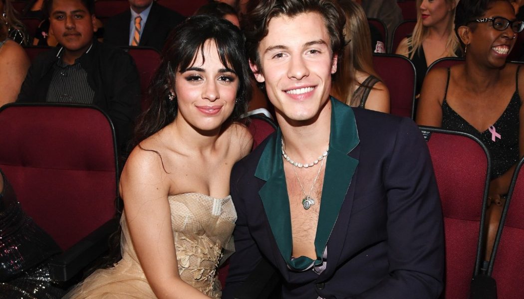 Camila Cabello Gets Cozy at Home With Shawn Mendes & Her Dogs: See the Photo