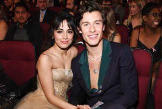 Camila Cabello Gets Cozy at Home With Shawn Mendes & Her Dogs: See the Photo