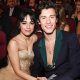 Camila Cabello Gets Cozy at Home With Shawn Mendes & Her Dogs: See the Photo