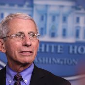 Fauci says ‘rolling reentry’ possible as soon as next month