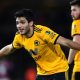 ‘He’s going to leave’ – Manager expects Wolves star to leave for a bigger club