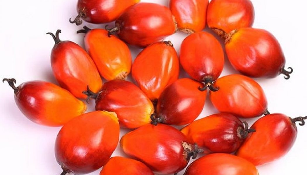 Interesting Findings About Unrefined Palm Oil And COVID-19