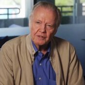 Jon Voight Calls Donald Trump a “Hero” For His Handling of COVID-19 Pandemic