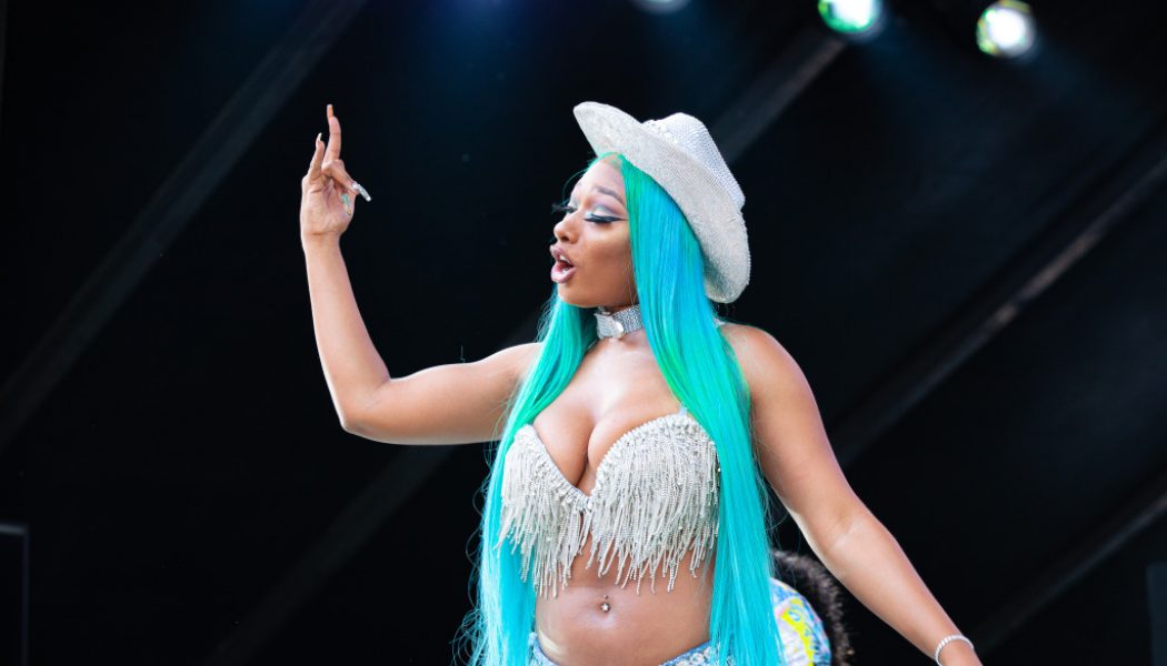 Megan Thee Stallion Gets Animated For Visuals To “Savage”