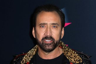 Nicolas Cage is playing Joe Exotic in a new Tiger King TV show, of course