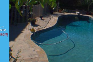 Paranormal Activity 2 Gives Pool Cleaners a Fighting Chance