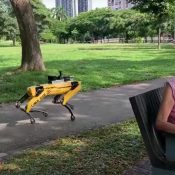 Spot the robot is reminding parkgoers in Singapore to keep their distance from one another