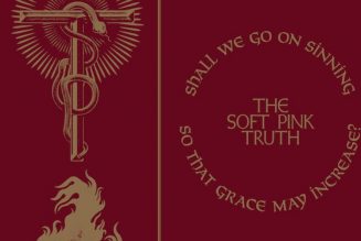 The Soft Pink Truth: Shall We Go On Sinning So That Grace May Increase?