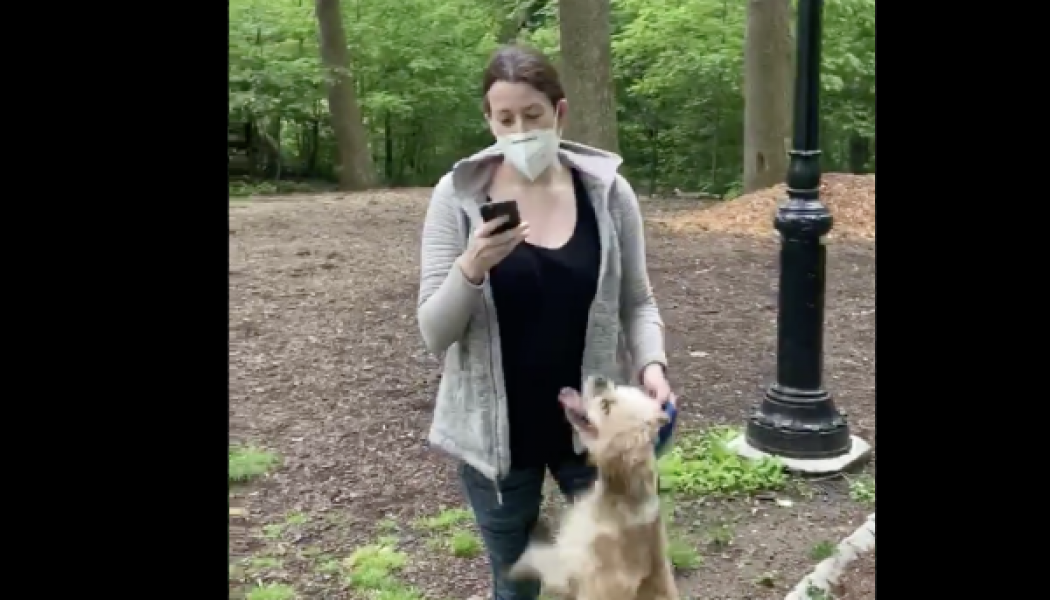 White Dog Choker Amy Cooper Who Falsely Reported Black Man In Central Park Gives Weak Apology