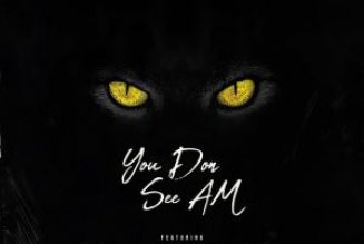 Yung6ix – You Don See Am ft. Erigga, Payper Corleone, Dr Barz