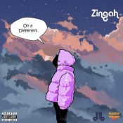 Zingah ft. Wizkid – Green Light