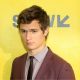 Ansel Elgort Denies Sexual Assault Allegations