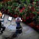 Barcelona Opera House Reopens with Concert for Over 2,000 Houseplants