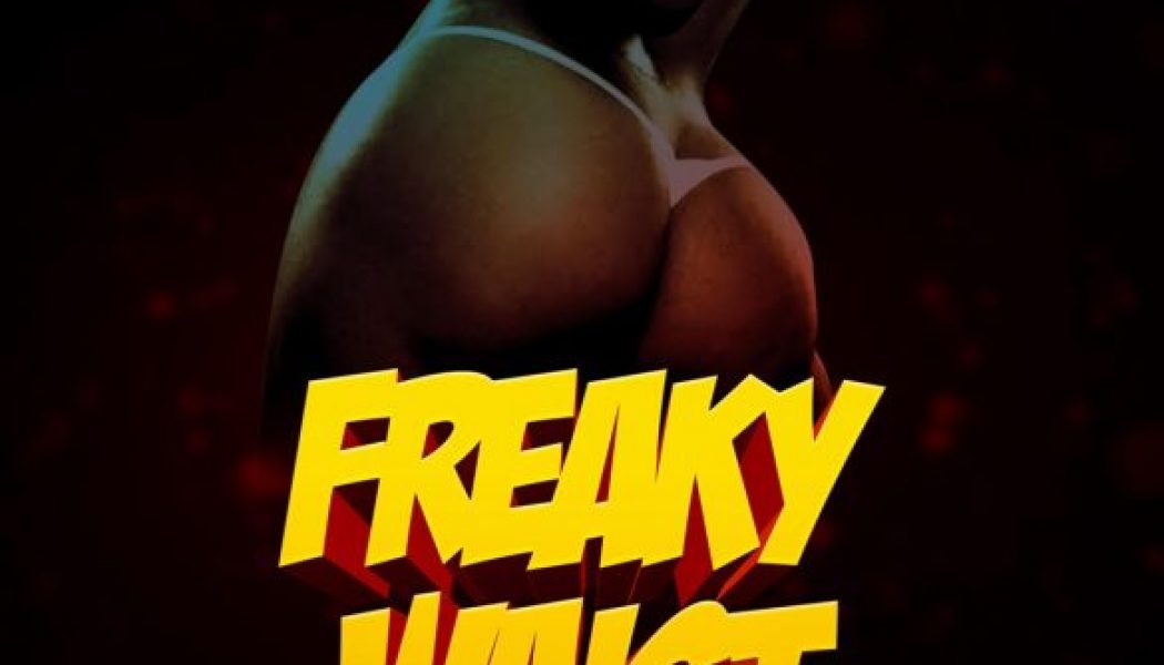 MC Galaxy – Freaky Waist