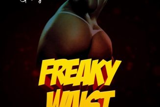 MC Galaxy – Freaky Waist