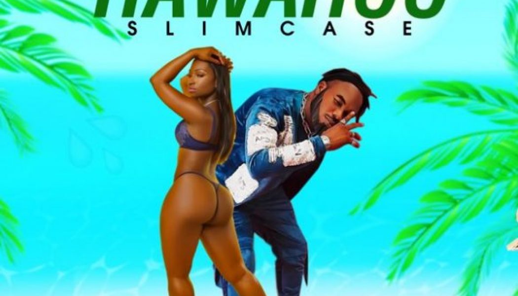 Slimcase – Hawahoo