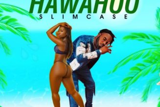 Slimcase – Hawahoo