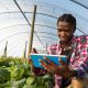 Tech is Essential in Developing a Flourishing Agriculture Sector in Africa