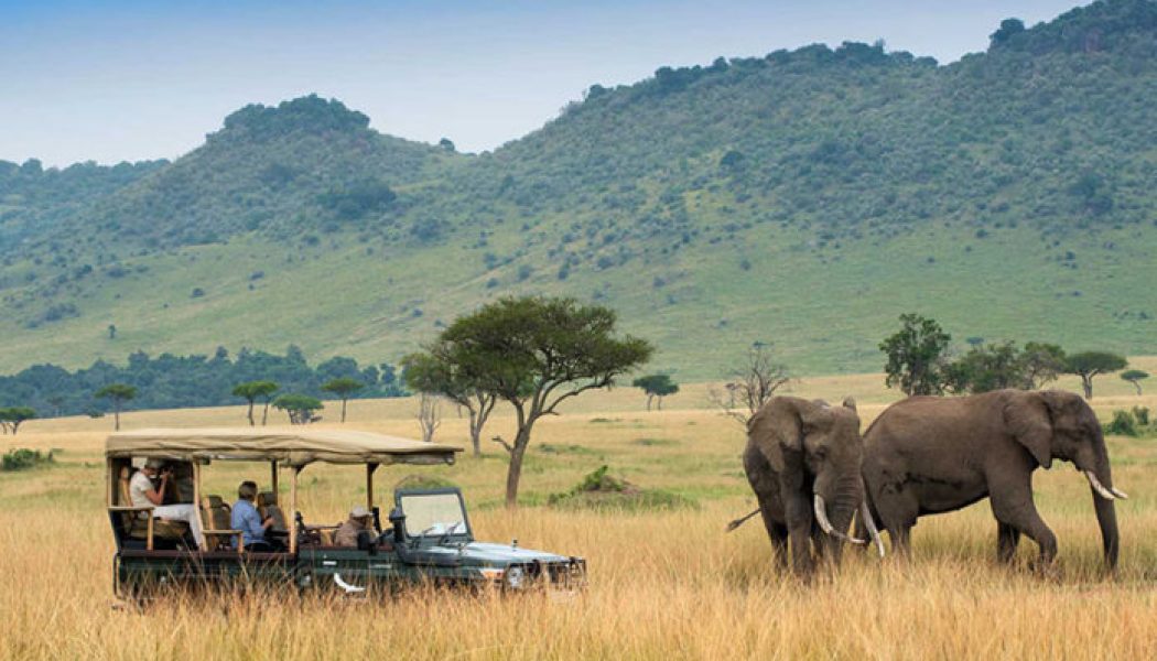 Tourism Suffers as COVID-19 Restrictions Throttle Safari Industry