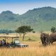 Tourism Suffers as COVID-19 Restrictions Throttle Safari Industry