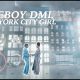 VIDEO: Fireboy DML – New York City Girl