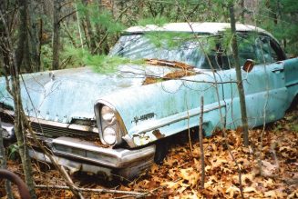 100+ Junkyard Photos! Steve Magnante’s Decades-Long Quest for Hidden Treasure