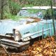 100+ Junkyard Photos! Steve Magnante’s Decades-Long Quest for Hidden Treasure