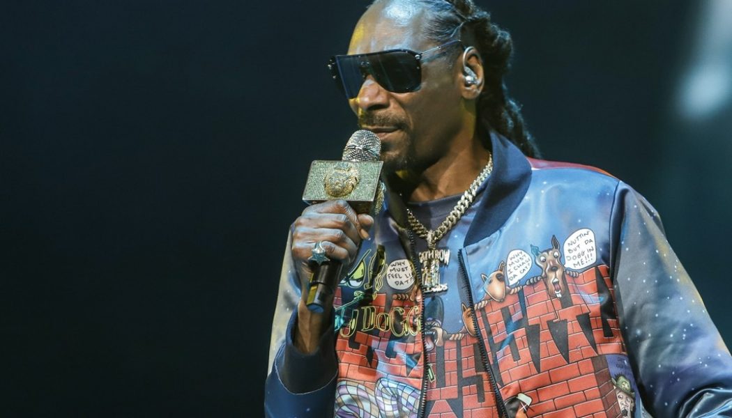 DMX Will Challenge Snoop Dogg for Verzuz ‘Battle of the Dogs’