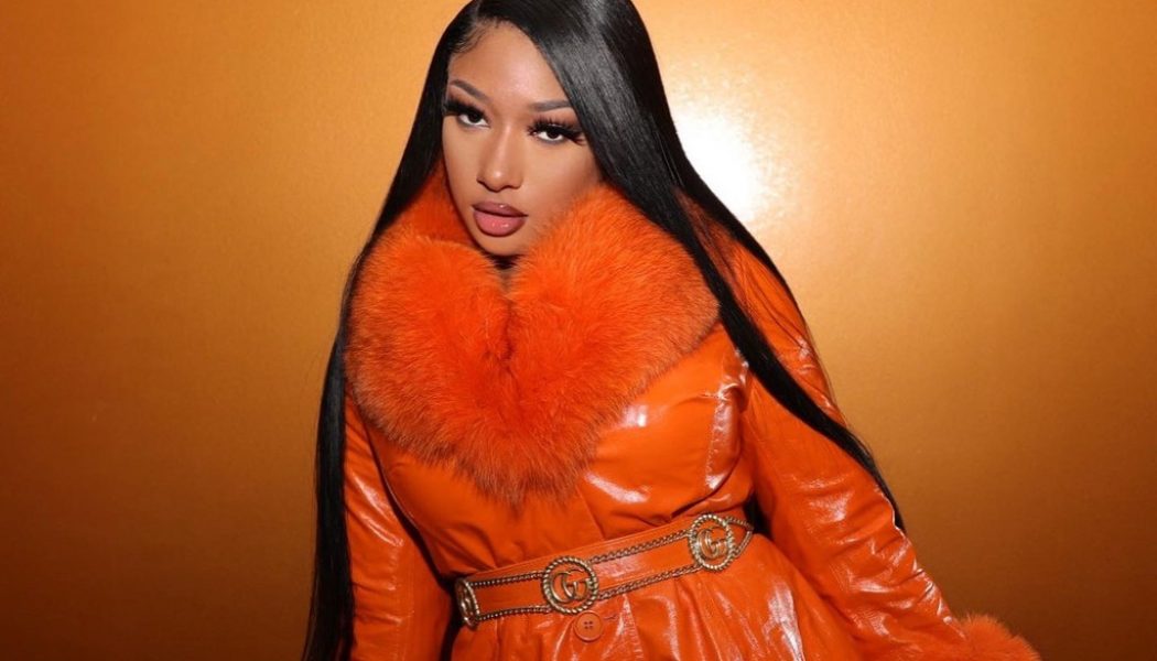 Everything We Know About the Fight Involving Megan Thee Stallion & Tory Lanez (So Far)