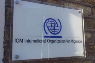 IOM: More than 240 illegal immigrants rescued off Libyan coast