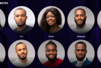 Meet Big Brother Naija Lockdown Season 5 housemates