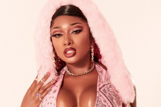 Megan Thee Stallion Says She Was Shot in the Foot