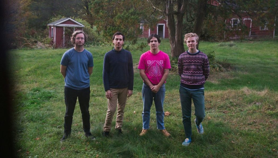 Pinegrove Release Expanded Edition of Marigold: Stream