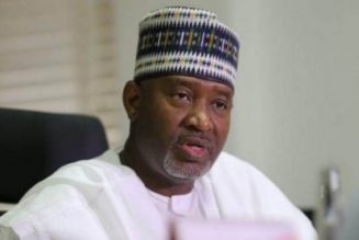 Senator Sirika: I don’t control airfares