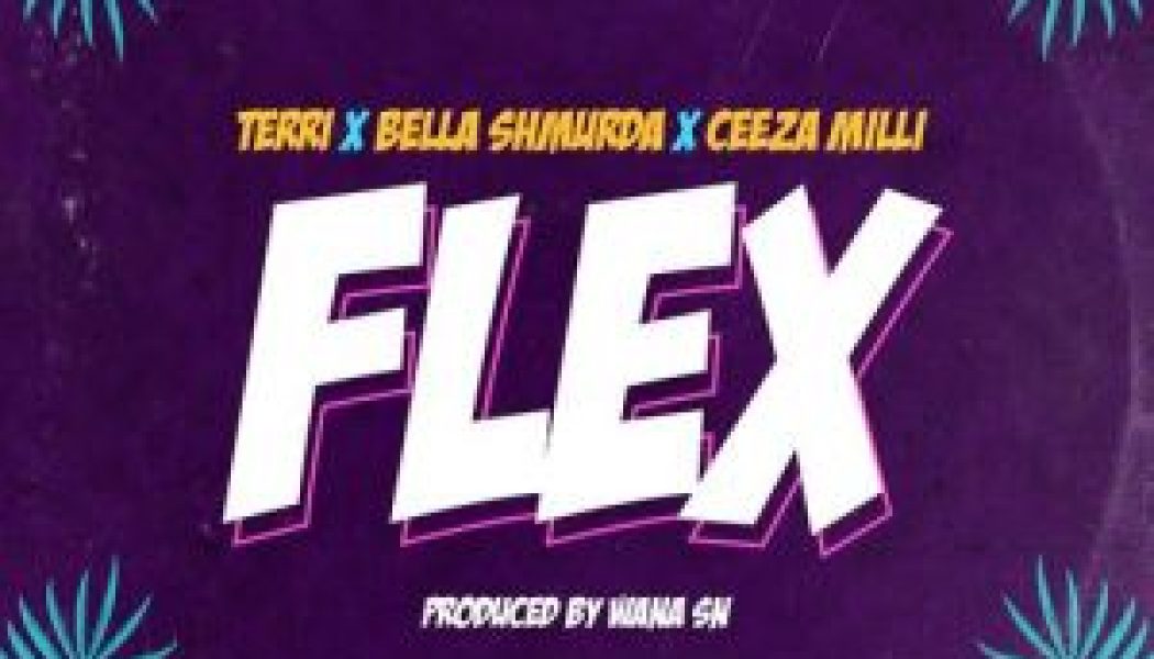 Terri x Bella Shmurda x Ceeza Milli – Flex