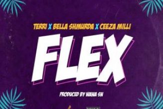 Terri x Bella Shmurda x Ceeza Milli – Flex