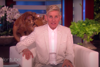 WarnerMedia Is Investigating the “Toxic Work Environment” at Ellen DeGeneres Show