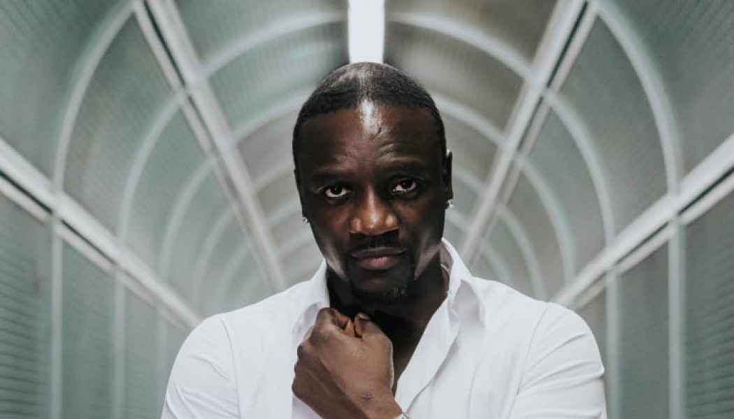 Akon Suggests a Foray Into EDM Would Help T-Pain Resurrect His Career