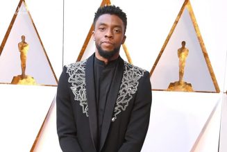 ‘Black Panther,’ ‘Get on Up’ Star Chadwick Boseman Dies at 43