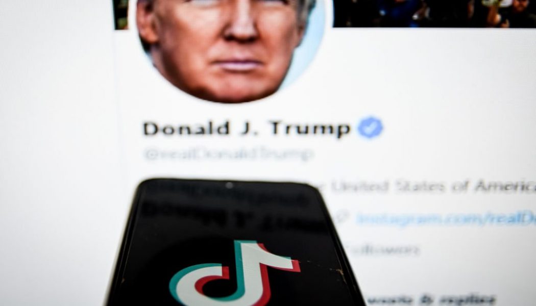 Blank Stare: Donald Trump Issues Executive Order Banning TikTok & WeChat “Transactions” In 45 Days