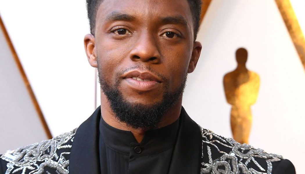 Chadwick Boseman, star of Black Panther, dies at 43 after four-year battle with cancer