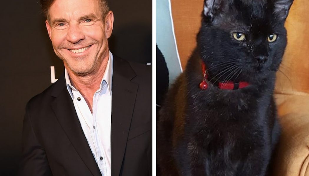 Dennis Quaid Adopts Cat Named Dennis Quaid