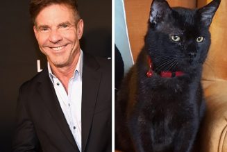 Dennis Quaid Adopts Cat Named Dennis Quaid