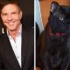 Dennis Quaid Adopts Cat Named Dennis Quaid