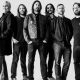 Foo Fighters Cancel 25th Anniversary Van Tour