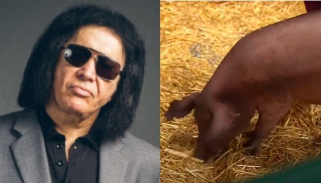 GENE SIMMONS Praises ELON MUSK’s Brain-Computer Tech NEURALINK After Live-Pig Demo