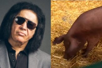 GENE SIMMONS Praises ELON MUSK’s Brain-Computer Tech NEURALINK After Live-Pig Demo