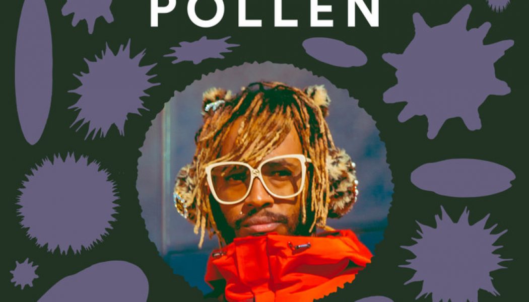 Inside Pollen, the Mysterious Hit Spotify Playlist Where No Rules Apply