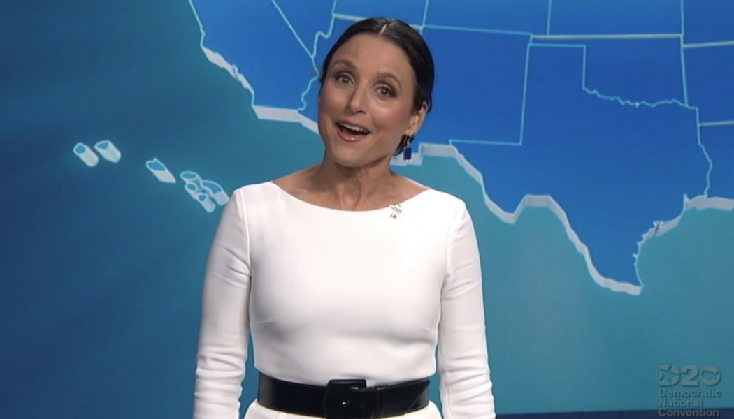 Julia Louis-Dreyfus Skewers Trump During Democratic National Convention: Watch